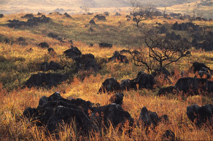 ""