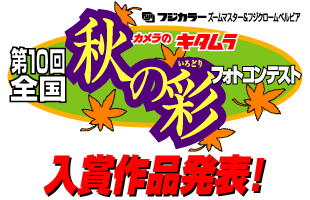�t�̉ԃt�H�g�R���e�X�g