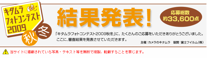 �g�b�v�^�C�g��