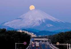 �r�������i�O�����v��