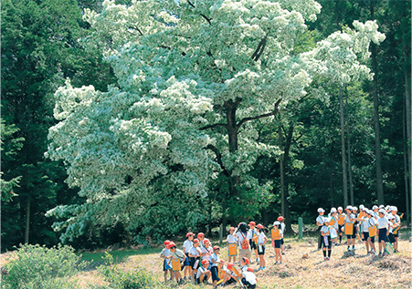 「今年も来たなァ」荻山清和（岐阜県）