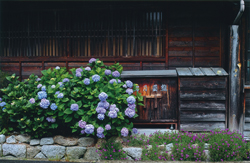 「旅の癒し」古谷　徹（長野県）