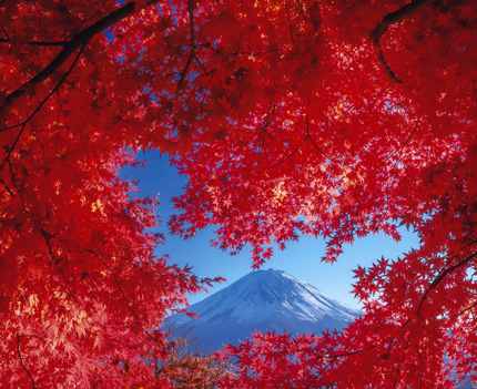 腕自慢風景グランプリ