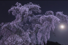 「花月」遠藤康彦（福島県）
