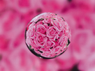 「Pink in the glass ball」宮武 眞智子（香川県）