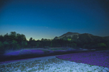 「芝桜と星空」設楽怜司（埼玉県）