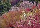 「響宴」大塚英夫（神奈川県）