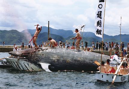 入選