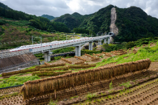 入選