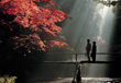 夫婦