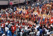 長野県諏訪地方・御柱祭
