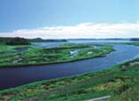 北海道厚岸町の桜祭