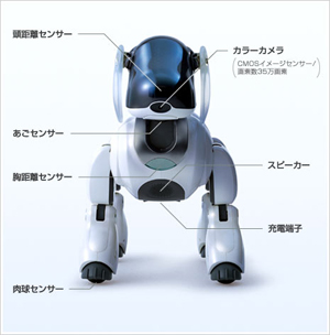 AIBO