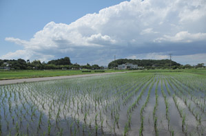 作例１空の映り込みを撮る