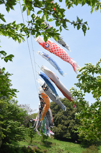 作例2 緑で囲むようなフレーミング
