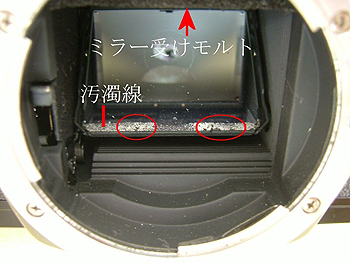 モルト