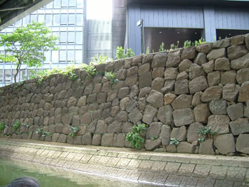 日本橋川