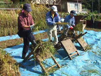 レトロな千歯扱き