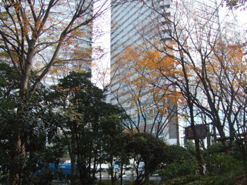 鰹節センター