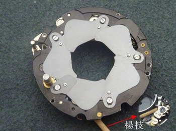 楊枝