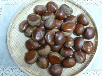 小布施栗