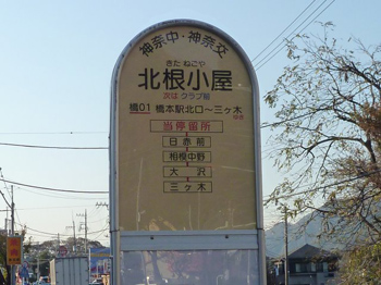 バスが無い