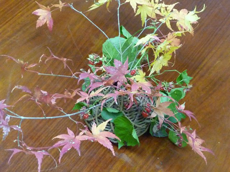 檜原の秋