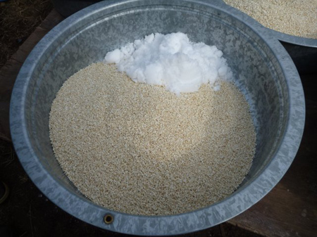 麹5Kgと塩1Kg