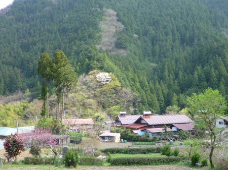 檜原村