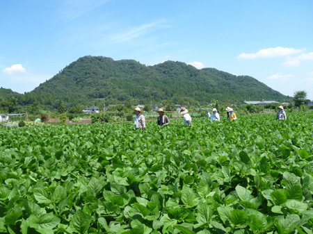 城山