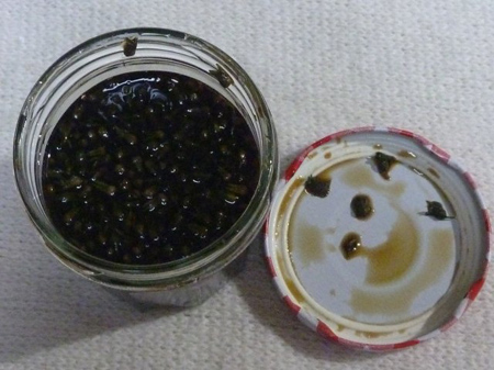 万能醤油