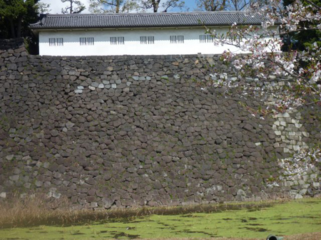 富士見多聞