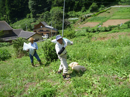 重労働