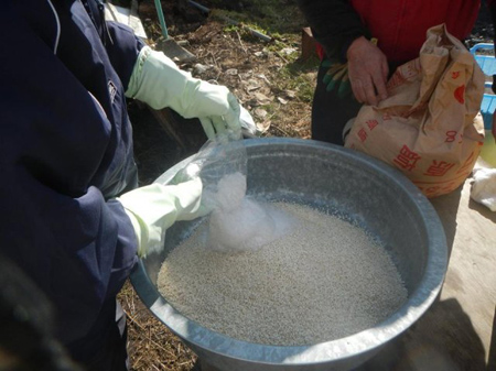 寒仕込み津久井在来大豆味噌(後編)