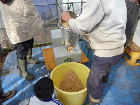 寒仕込み津久井在来大豆味噌(後編)