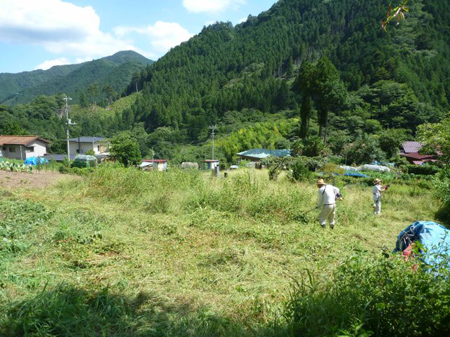 檜原村蕎麦畑(除草)