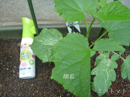 幕張メッセDIY2015