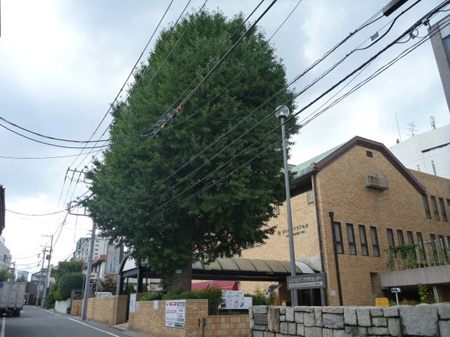 小伝馬町