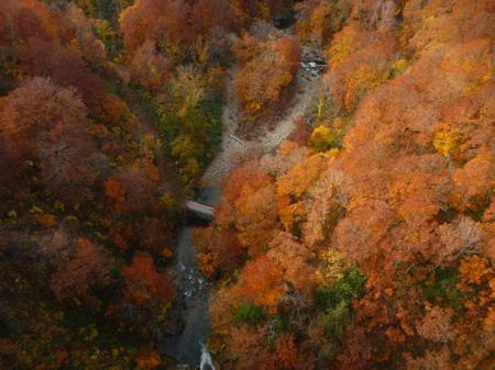紅葉の城ヶ倉大橋