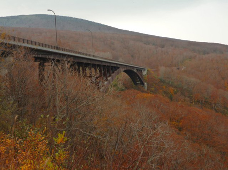 紅葉の城ヶ倉大橋