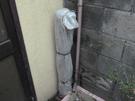 リーキねぎ