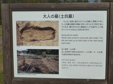 三内丸山