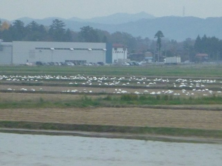 糸魚川市