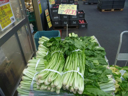 糸魚川市