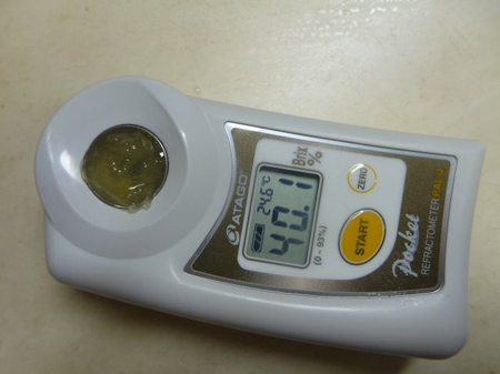 獅子柚(鬼柚子)