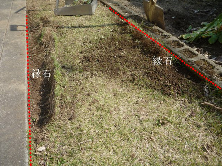 根の掘り起こし