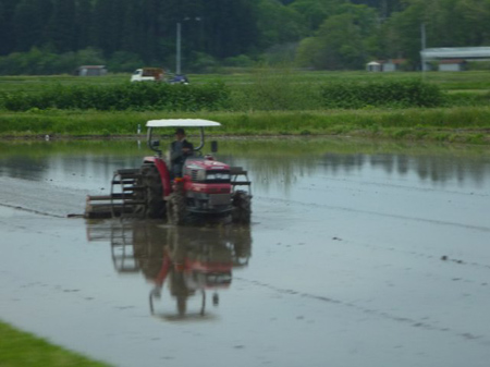 秋田角館