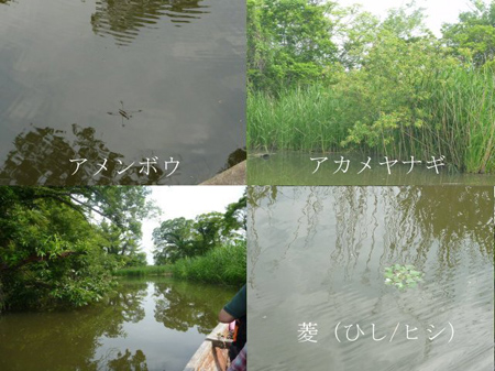 揚船・谷田川めぐり
