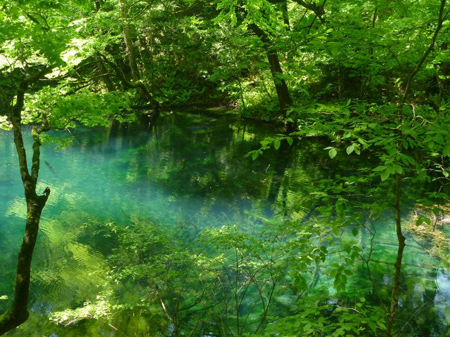 青森県十二湖
