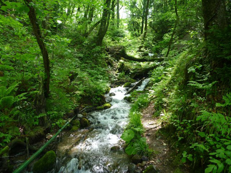 青森県十二湖